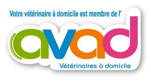 AVAD AVAD