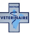 Croix Docteur Vétérinaire Narbonne VETDOM