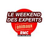 RMC Animaux