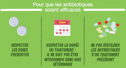 Les 3 règles à connaitre pour l'utilisation des antibiotiques