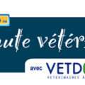 Tout savoir sur la maladie d’Addison