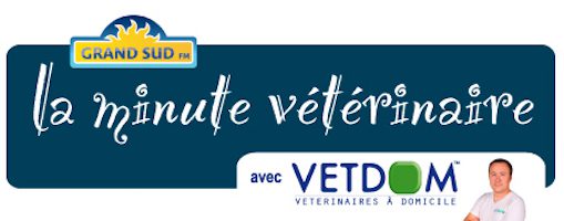 la_minute_veterinaire