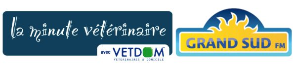 La minute vétérinaire avec Vetdom sur Grand Sud FM