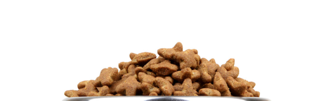 À quoi servent les vitamines contenues dans les croquettes de mon chien ?