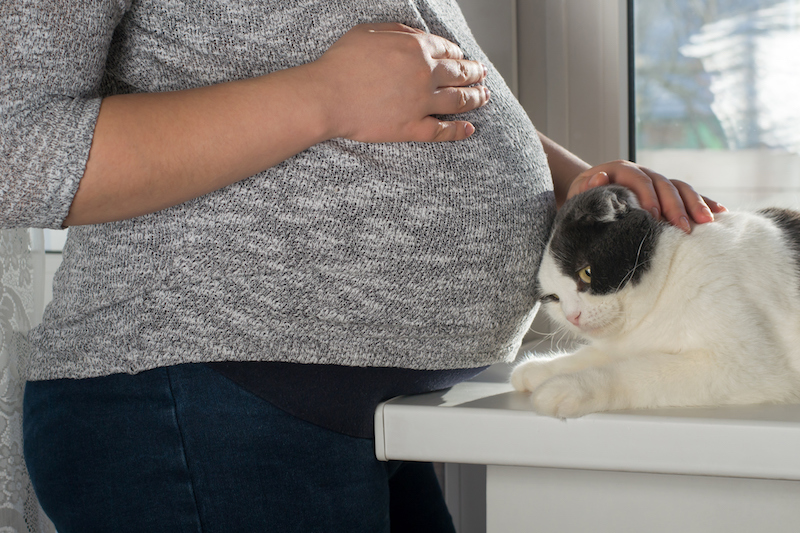 Je suis enceinte et j'ai un chat: dois-je m'inquiéter ?