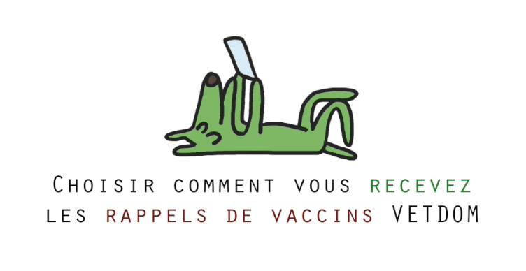 rappels de vaccination