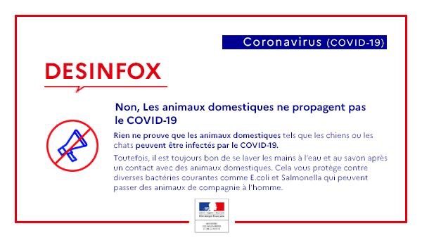 Desinfox Coronavirus