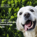 Loi sur le bien-être animal