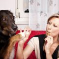 La cigarette électronique est-elle dangereuse pour nos animaux ?