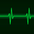 Peut-on faire un électrocardiogramme à un chien ?