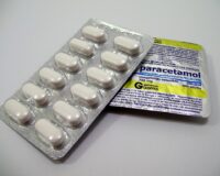Peut-on donner du paracétamol ou de l’ibuprofène à son chien ou son chat ?