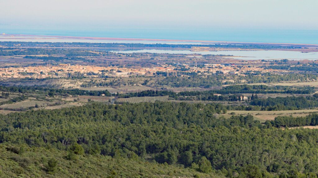Vétérinaire à Sigean