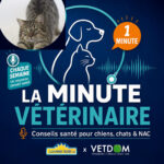 La Minute Vétérinaire