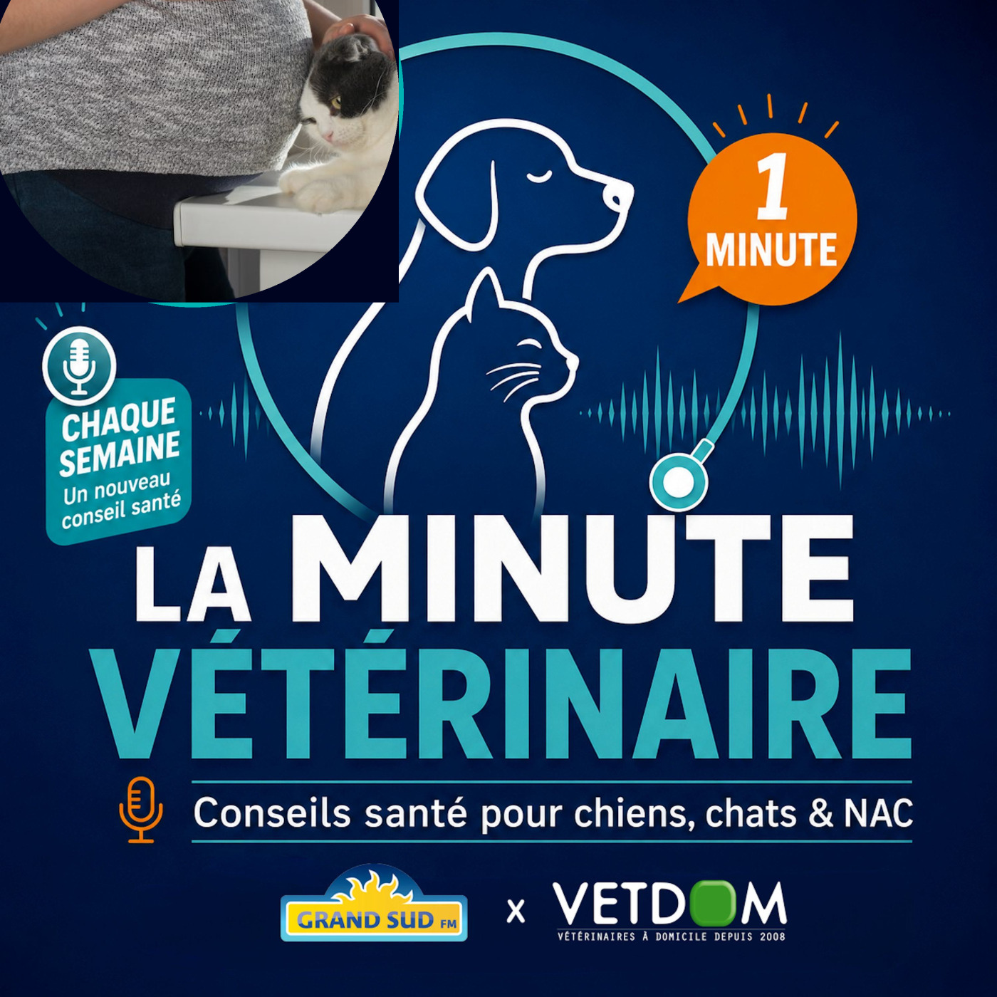 Je suis enceinte et j’ai un chat: dois-je m’inquiéter ? episode artwork
