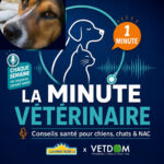 La Minute Vétérinaire