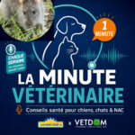 La Minute Vétérinaire
