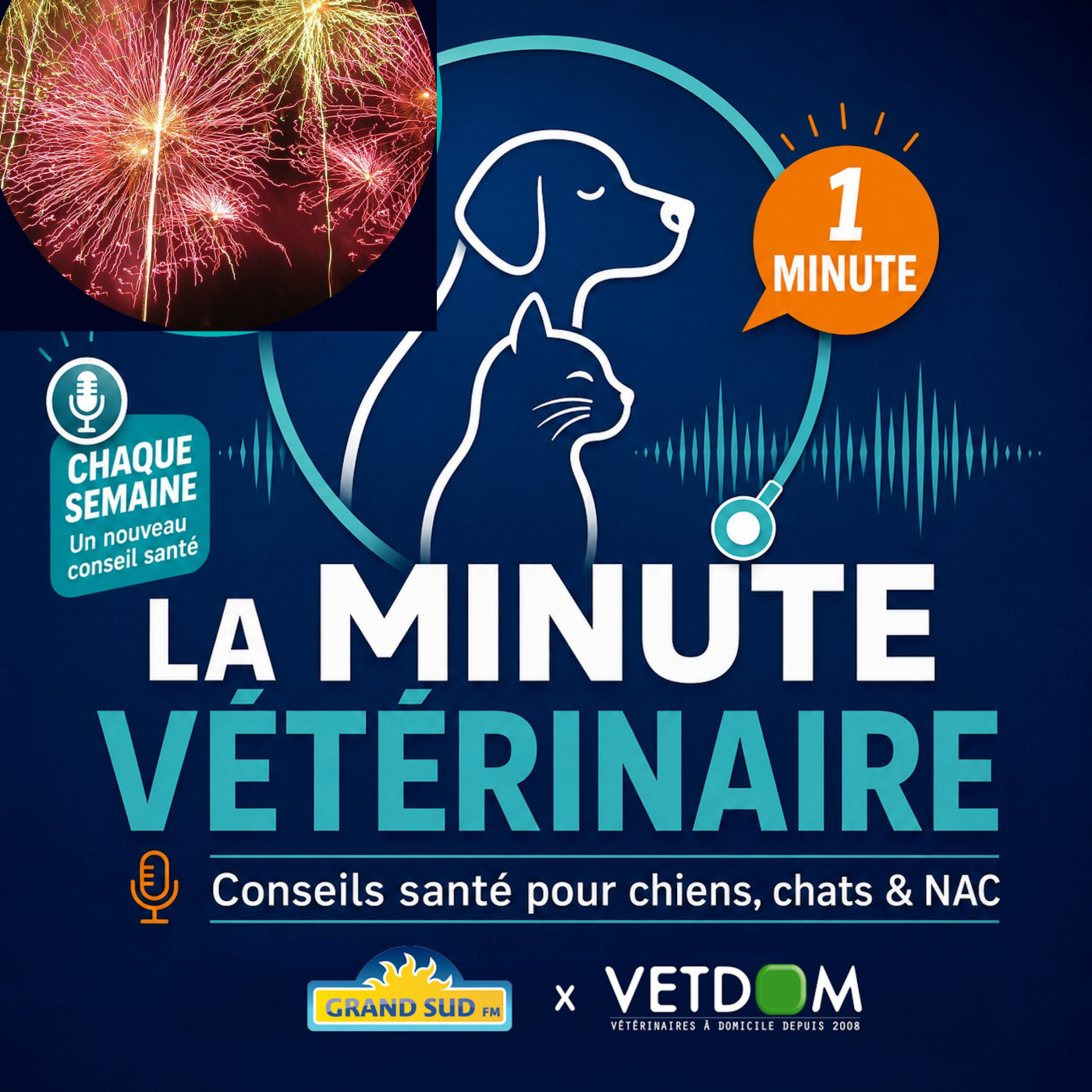 Mon chien est terrorisé par les feux d’artifices et le tonnerre: que puis-je faire pour l’aider ? episode artwork