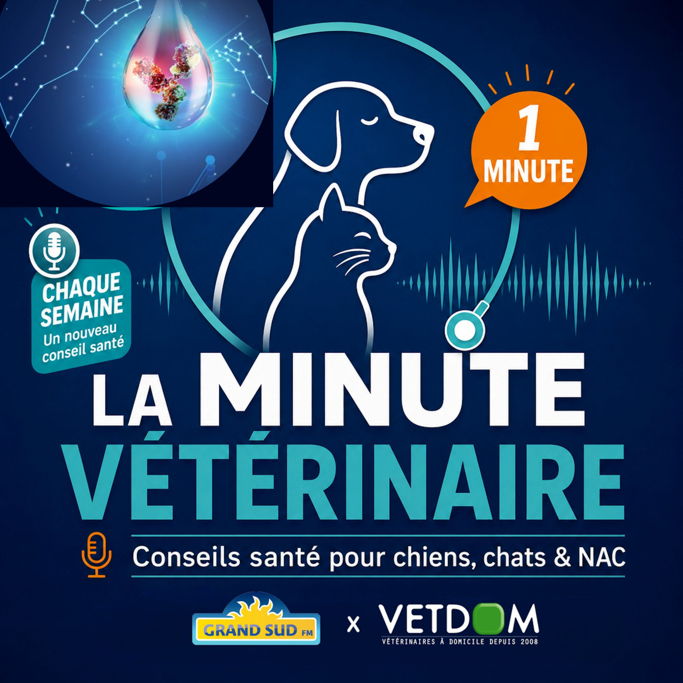 Un nouveau traitement contre l’arthrose du chien et du chat. episode artwork